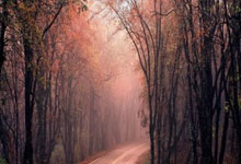 32队分10亿刀奖金!一文回顾世俱杯赛制,详解参.