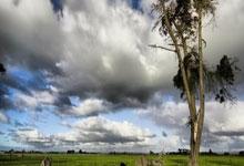 多多28体育：[欧冠]C组第3轮：柏林联合0-1那不勒斯 集锦.