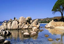 多多28体育:2023年法国羽毛球公开赛决赛落幕,国羽“00后”爆发!环球时报.